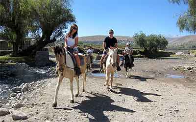 Horseback riding